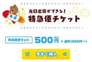 特急便チケット