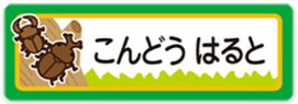昆虫のお名前シール